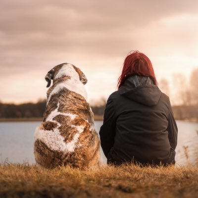 thefourleggedf1's profile picture. If you love dogs, you are on the right place. Just click the link and read some good content🐶❤️ https://t.co/kDUrqDsLw3