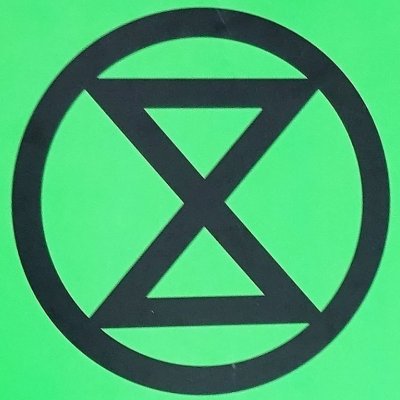 Climate activist and animal rights advocate. If the goverments won't take action, we must rebel #RebelforLife #ExtinctionRebellion