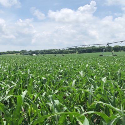 cows,corn,and beans father of 3-husband to best friend... work to live not live to work... southeast Nebraska