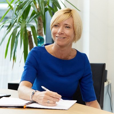 Business Development Director
