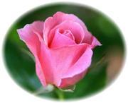 masatoshi_fan's profile picture. テノール歌手上原正敏さん・勝手にふぁん倶楽部