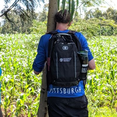 PeteFromPV's profile picture. Lead A.I. Engineer for PlantVillage. I teach computers to recognize stuff in pictures. usually diseases on leaves but also food on plates and desert locusts