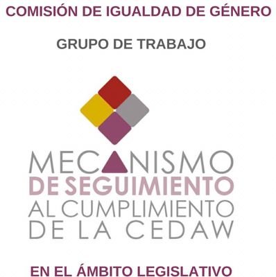 Grupo de Trabajo Legislativo de Seguimiento al cumplimiento de la CEDAW (Convención sobre la Eliminación de Todas las Formas de Discriminación contra la Mujer)