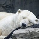 HWANG DONG JUN - @HwangDongJun - Twitter