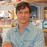 Moberg Lab (@ken_moberg) 's Twitter Profile