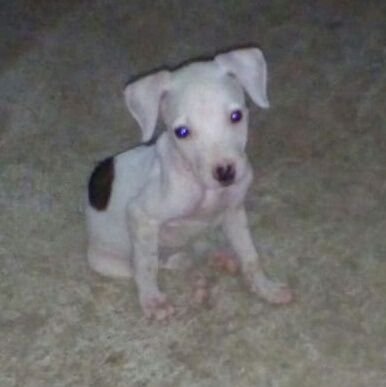 paparapa0's profile picture. 