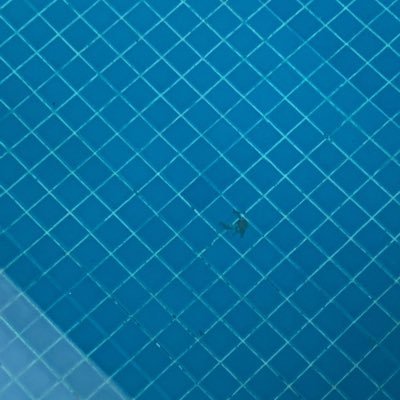 rubendeuriarte's profile picture. hot