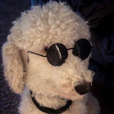 bbmiich's profile picture. lost in the sauce