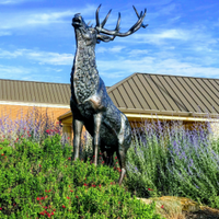 Elk City High School (@elkcityhs) Twitter profile photo