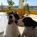 Teo y amigos (@teoyamigos) Twitter profile photo Teo y amigos (@teoyamigos) Twitter profile photo
