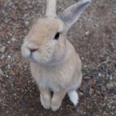 のりたまさんのプロフィール画像