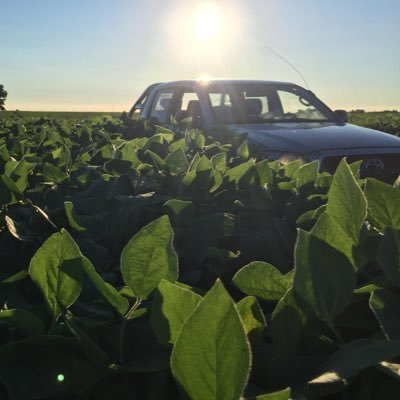 Técnico Agropecuario (UDE) Productor Agrícola Ganadero. Papá de Bruno y Emma 😁