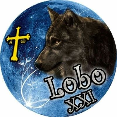 ONG ambientalista 100% Asturiana
 
Con el lobo por bandera y contra todo maltrato animal.

Activistas y divulgadores, lo que no se conoce no se puede proteger.