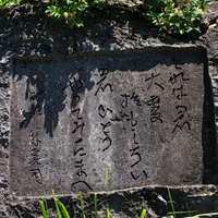 東北大学浅虫海洋生物学教育研究センター (@asamushi2) 's Twitter Profile Photo 東北大学浅虫海洋生物学教育研究センター (@asamushi2) 's Twitter Profile Photo
