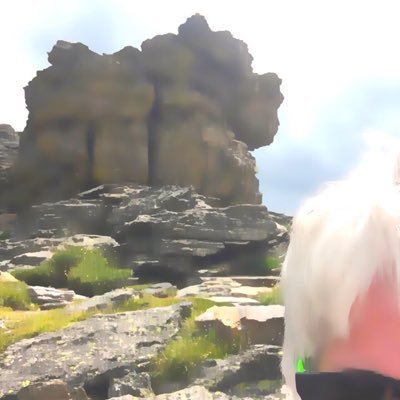 KimStichnote's profile picture. What I do today is important because I trade a day of my life to do it.