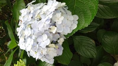 @L7jaK280C36774V