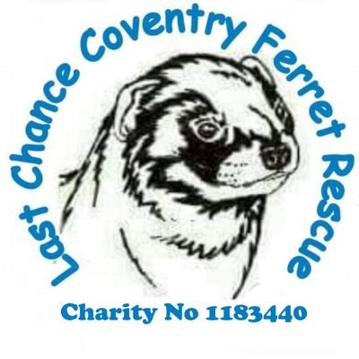 At LCCFR we strive to rescue & rehabilitate as many ferrets as we can. We are self funded, plz get intouch if you can help. West midlands based.