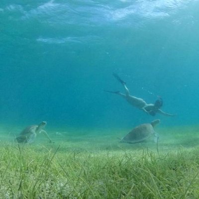 I am doing my PhD at the University of Vigo, Spain, with PHYTOPLANKTON! yeah! Amazing creatures!