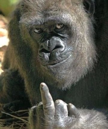 bHmgebk36lDTZV1's profile picture. tweet多めミュート推奨です❌                                           

只今ゲーム依存チンカスと別れる為に
シングルに  
     向けて準備中

私のtweet不愉快に思う人は遠慮なく  ブロックしてください。