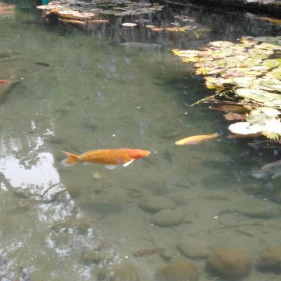 MaryM59733618's profile picture. Bienestar