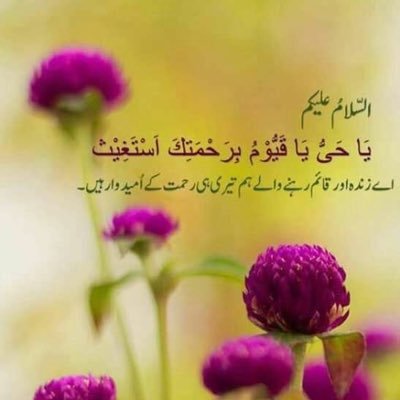 Zahidaqu1's profile picture. Rawalpindi, Pakistan,