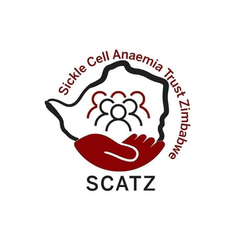 Trust which raises Awareness about Sickle Cell disease Contact: +263714872452