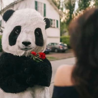 wafa9792's profile picture. https://t.co/gpdDoV0PRo