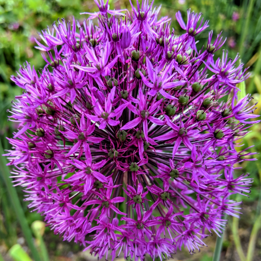 GiselaBlee's profile picture. 