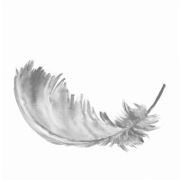 jā,irlemts (@jabuslemts) 's Twitter Profile