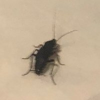 heves 🏳️‍🌈 (@sessizzerafet) Twitter profile photo