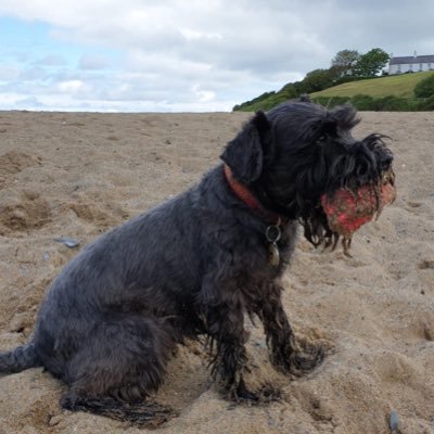 poppy_dog Profile Picture