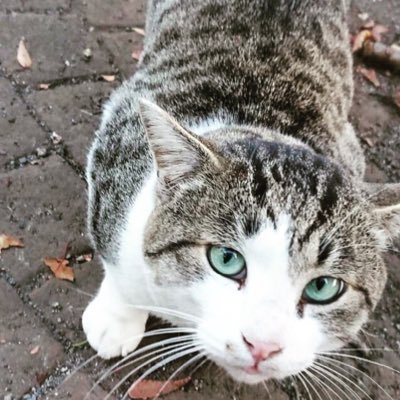 sougosien131's profile picture. フォロバ100%！当アカウントは相互フォローを希望するユーザーを支援するアカウントです。【当アカウントをフォロー】⇒【当アカウントのツイートをリツイート】⇒【当アカウントのフォロアーをフォロー】することによって、あなたのフォロアーを飛躍的に増やすことができます。。