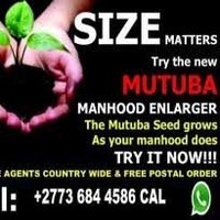 mutuba seed & oil pines enlargement +27736844586(@SeedMutuba) 's Twitter Profile Photo