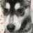 Jay.のアイコン