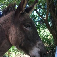 jo gravier (@gravierjo) 's Twitter Profile Photo jo gravier (@gravierjo) 's Twitter Profile Photo