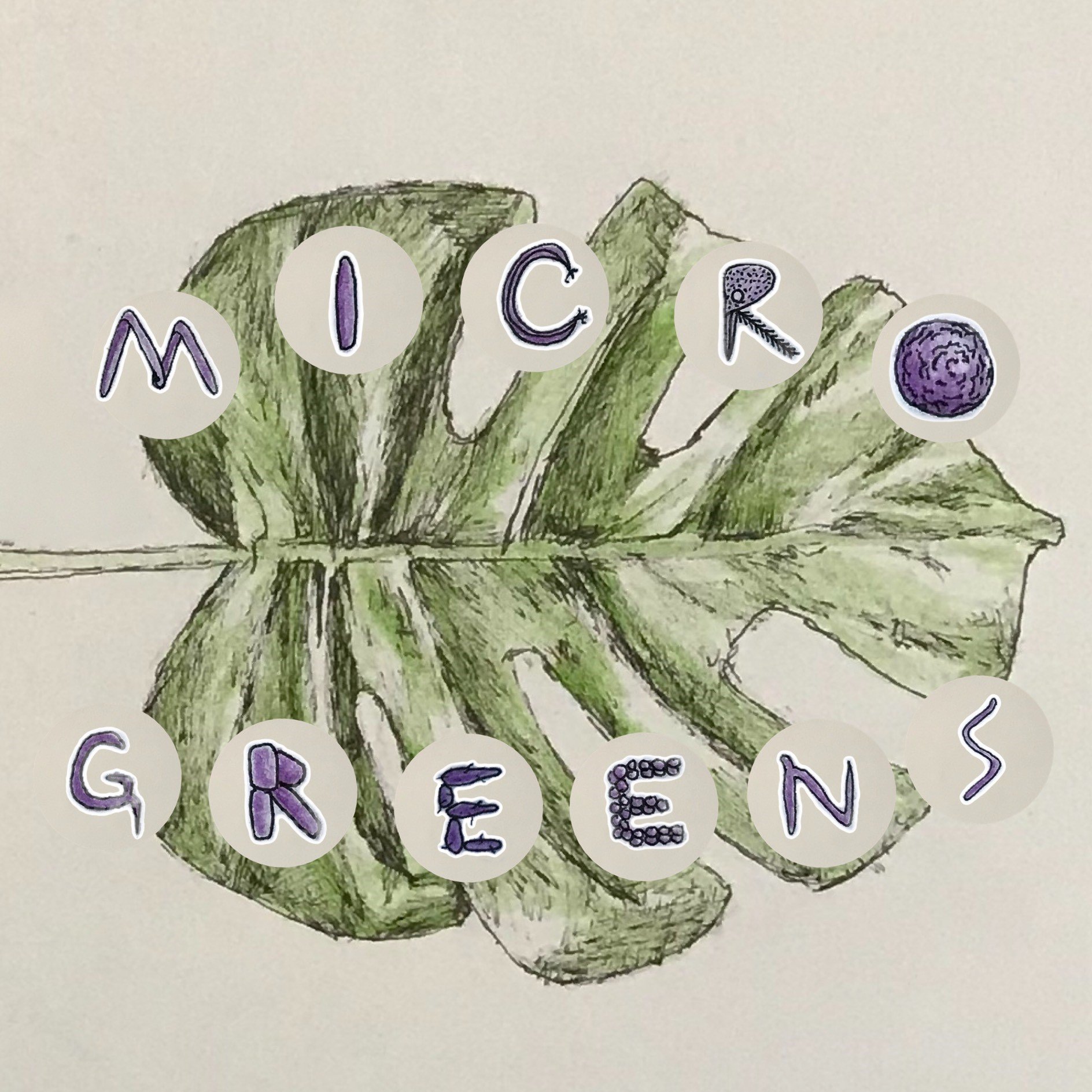 Twitter Account of the MPMI Podcast (MPMI = The Molecular Plant-Microbe Interactions Journal)