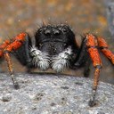 Ronald Stam - @ronald_stam - Twitter