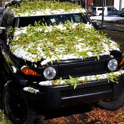 MOEInvestigator's profile picture. 