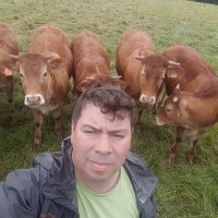 brice guyau (@bricegu) 's Twitter Profile
