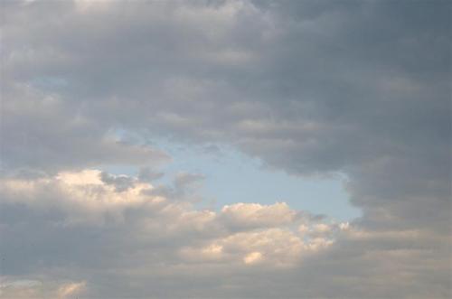 tcqn's profile picture. Oust Blaggards Intelligently & Legally. Islam NOT religion but Laws Hostile to America, Christians, Jews, Women, Intelligent & Free Citizens & ALL Non-muslims