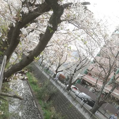 1viCwMsiXX2kyi8's profile picture. 新卒です！よろしくお願いいたします！ 欲望に忠実したい！ 大きい女の子がすきです！