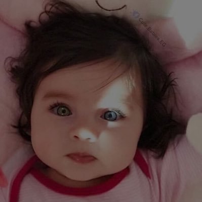 majed19893412's profile picture. 