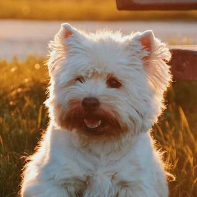 je suis novice sur ce site je veux me faire des nouvelles amis