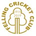 Felling Cricket Club (@FellingCC) Twitter profile photo