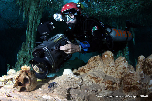 Jerónimo Avilés Profile