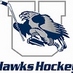 Urbana Ice Hockey (@hawksicehockey) Twitter profile photo Urbana Ice Hockey (@hawksicehockey) Twitter profile photo