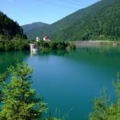 NegutRomel's profile picture. I share Youtube videos and some things from Twitter.