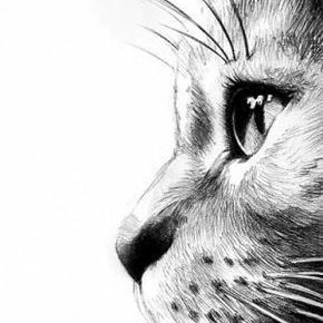 gedaifil's profile picture. 