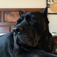 ant0n10_that5h0t (@ant0n10t) 's Twitter Profile
