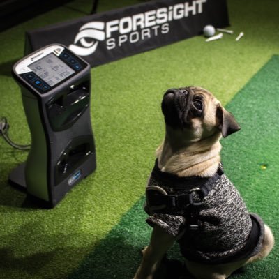 Senior Sales and Demo representative @foresighteurope, @puttview  25 years experience as a Golf coach.UCLA Alumi,love Swansea City n All views are my own